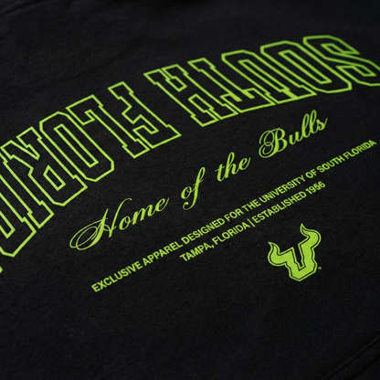 USF Bulls Essentials Hoodie
