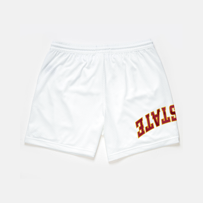 Iowa State Mesh Shorts | Exclusive