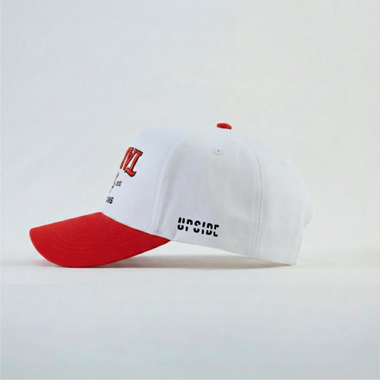 Tampa Spartans Established Hat